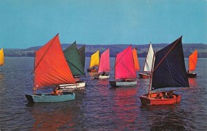 Chautauqua, NY New York  SAILING ON CHAUTAUQUA LAKE  Sailboats  VINTAGE Postcard