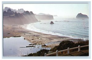 Vintage Van Damme State Park California Postcard P222E