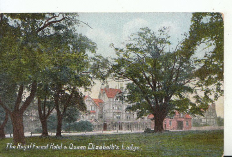 London Postcard - Royal Forest Hotel & Queen Elizabeth's Lodge - Ref 14945A