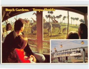 Postcard Busch Gardens, Tampa, Florida