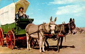 The Chuck Wagon 1959