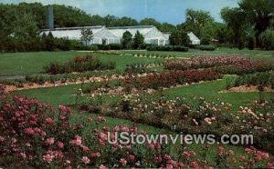 Famed Rose Gardens, Glen Oak Park - Peoria, Illinois IL  