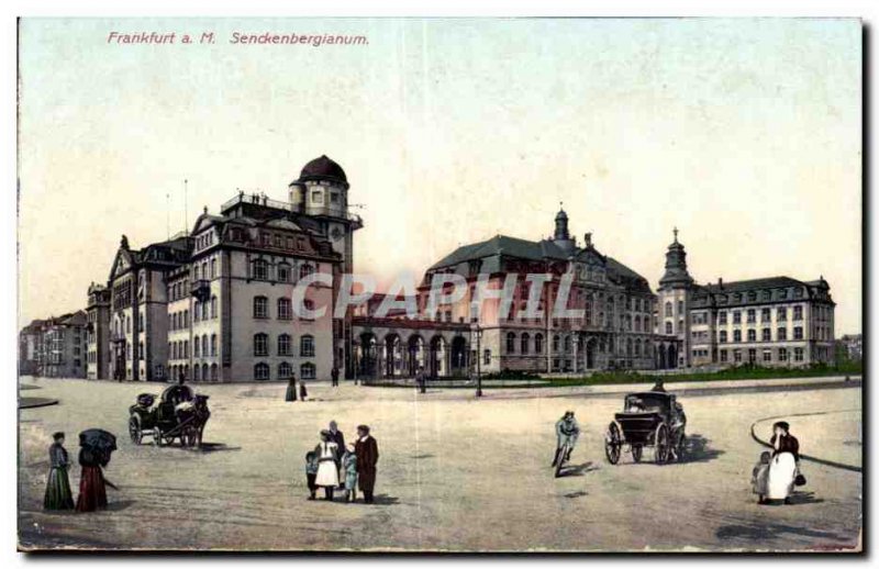 Old Postcard Frankfurt a M Senckenberginum