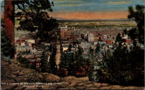 USA A Glimpse Of The City Through The Pines Spokane Washington Postcard 09.98