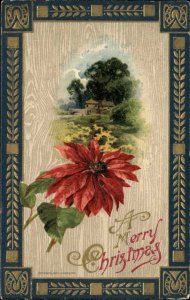 Christmas Poinsettia Ornate Art Nouveau Border Winsch c1910 Antique Postcard #2