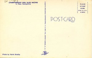 NH - Championship Dog Sled Racing