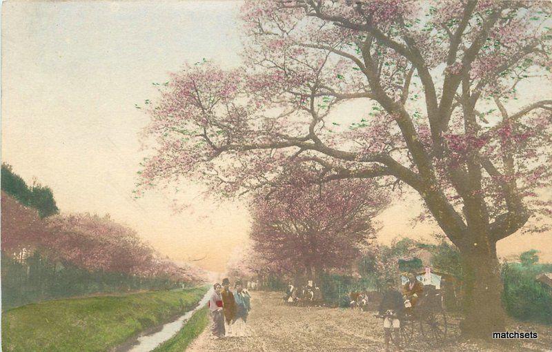 C-1910 Rural Road Scene Japan hand colored Japan postcard 9333