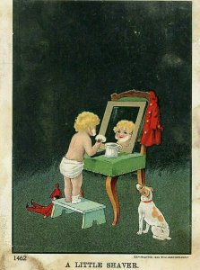 Postcard 1906 Comical, Little Shaver,  Little Boy .                P4