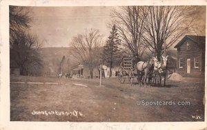 Horse and Carriage - Johnsonburg, New York