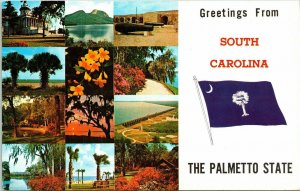 Greetings From South Carolina Palmetto State Postcard Multiview Koppel VTG UNP 