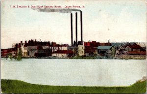TM Sinclair & Co's Pork Packing House, Cedar Rapids IA Vintage Postcard X51