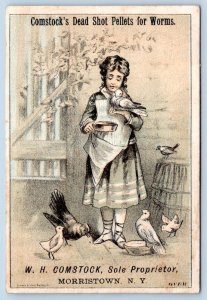 1880s COMSTOCK'S DEAD SHOT PELLETS FOR WORMS IN CHILDREN GIRL w/BIRDS TRADE CARD