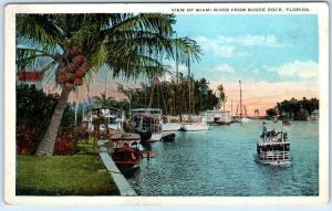 MIAMI, Florida  FL   Miami River  VIEW FROM BUDGE DOCK  ca 1920s   Postcard