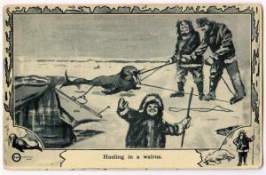 North Pole, Hauling in a Walrus, # 37