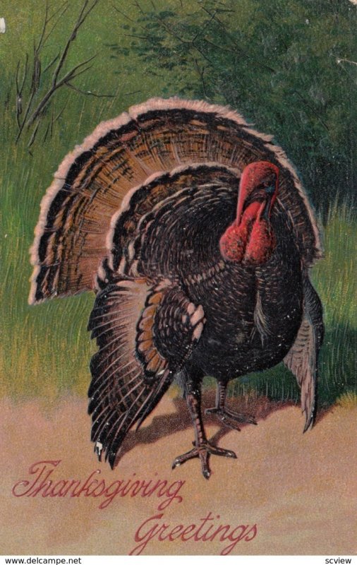 THANKSGIVING Greetings; PU-1901 ; Embossed Wild Turkey