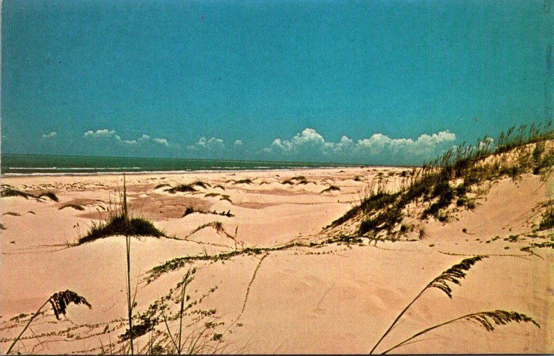 Texas Gulf Coast Beautiful Sand Dunes