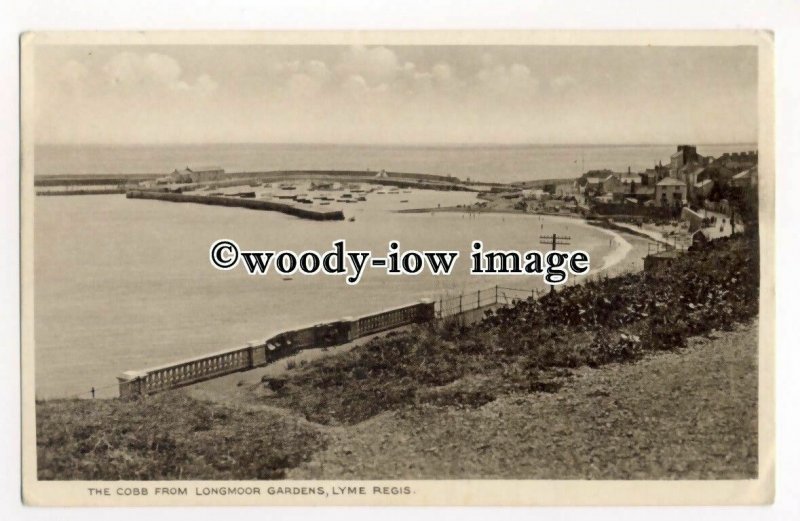 tq2571 - Dorset - The Cobb (harbour) from Longmoor Gdns. Lyme Regis - Postcard