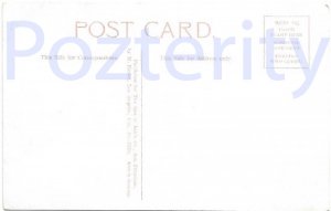 BUFFALO IN GOLDEN GATE PARK SAN FRANCISCO