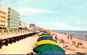 Virginia Virginia Beach Sun Bathers Enjoying The Beach