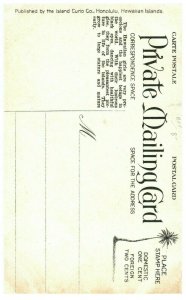 Island Curio Company 242 Hawaiian Style Girl Woman Vintage Private Mailing Card