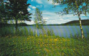 Canada Cariboo Lake Williams Lake British Columbia Alberta