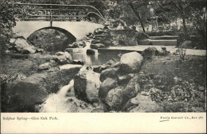 Peoria Illinois IL Glen Oak Park Sulphur Spring c1910 Vintage Postcard