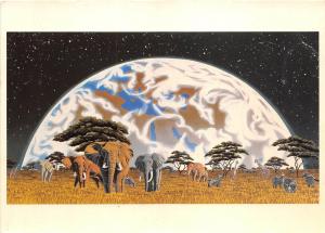 BF38615 africa rising schimm schimmel  elephant elepahnt  animal animaux