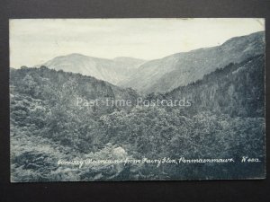 North Wales PENMAENMAWR CONWAY MOUNTAINS from Fairy Glen c1909 Postcard