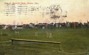 Vintage Postcard 1907 View of Deer at Nimisilla Park Canton Ohio OH