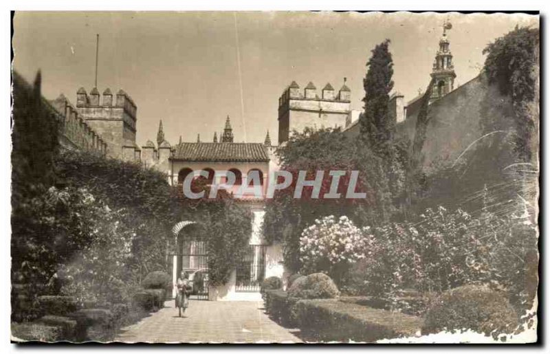 Old Postcard Sevilla Reales Alcazres Patio Del Leon Seville