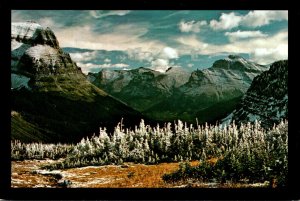 Montana Glacier Paark Logan Pass