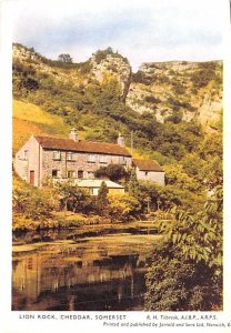 Lion Rock   Cheddar, Somerset 