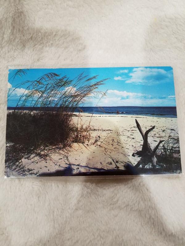 Vintage Postcard, Beautiful White Sandy Beach on Florida's coasts