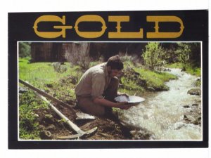 Panning For Gold, Montana, Chrome Postcard