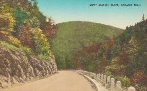 USA Down Eastern Slope Mohawk Trail Massachusetts Linen Postcard 08.29