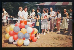 Moodus, Connecticut/CT Postcard, Ted Hilton's Resort, Picnic, 1956!