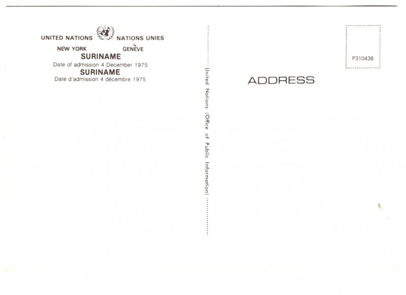Flag, Suriname, United Nations