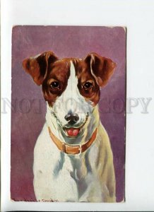 3170476 HUNT Dogs FOX TERRIER by DONADINI vintage Color PC