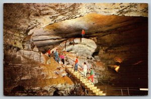 Mammoth Cave  Booth's Amphitheatre  Kentucky  Postcard