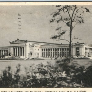 c1930s Chicago Field Museum of Natural History Litho Photo PC Henry Fuermann A33