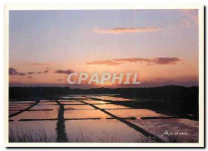 Modern Postcard Sunset on the salt marshes