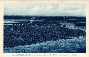 CPA ARES Bassin d'ARCACHON - Une etendue d'huitres dans un (655287)