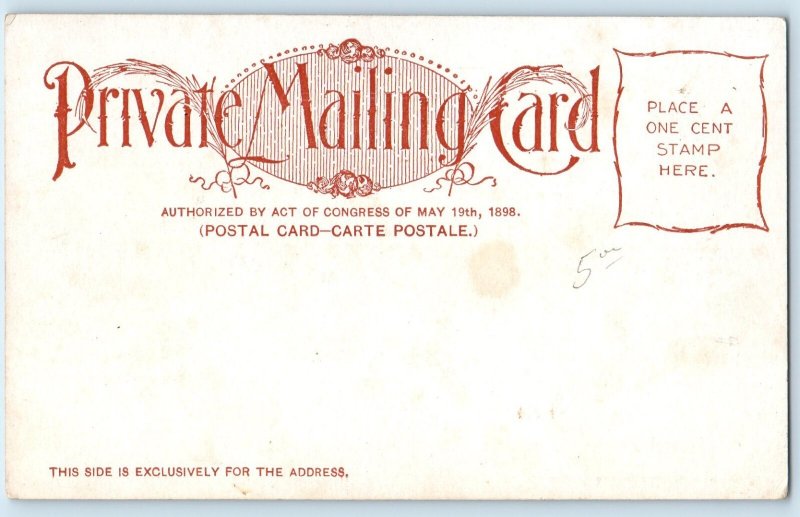 c1900's US Treasury Building Washington DC Mc Pherson Unposted Antique Postcard