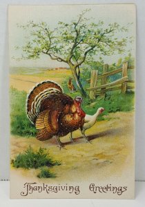Thanksgiving Greetings Turkey 1911 Vintage Antique Postcard