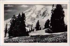 WA - Mt Rainier