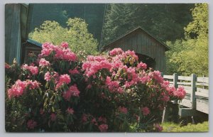 Flowers~Rhododendrons By Covered Bridge~Elk City Oregon~Vintage Postcard