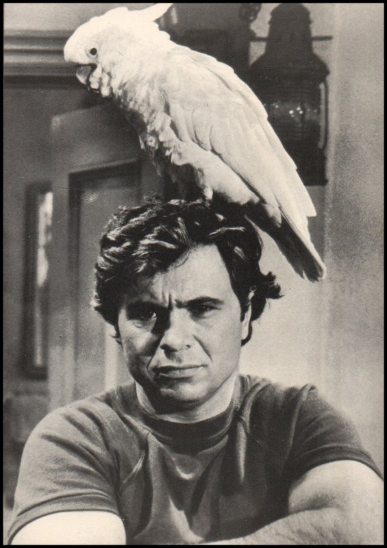 Movie Star Post card - Robert Blake, unused