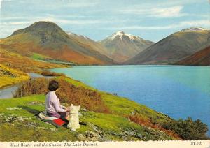 BR90109 wast water and the gables the lake district dog  uk