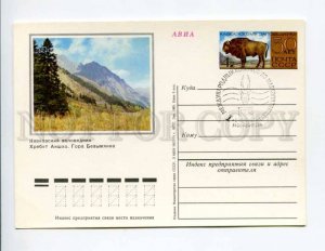 405410 RUSSIA Caucasus reserve bison postal card