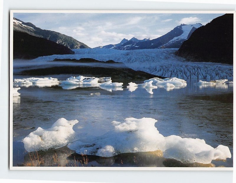 Postcard Tongass National Forest Mendenhall Glacier Alaska USA